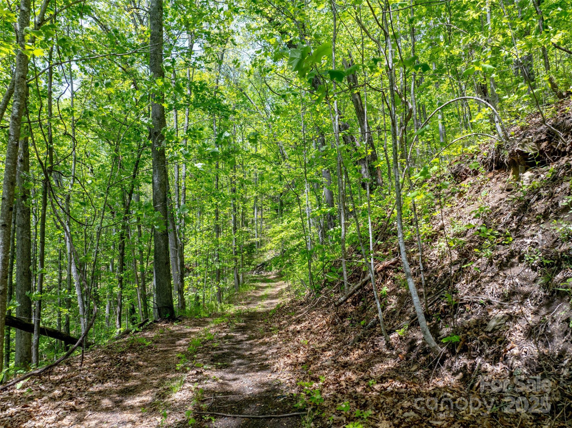 444 Woodring Cemetery Road - Photo 6