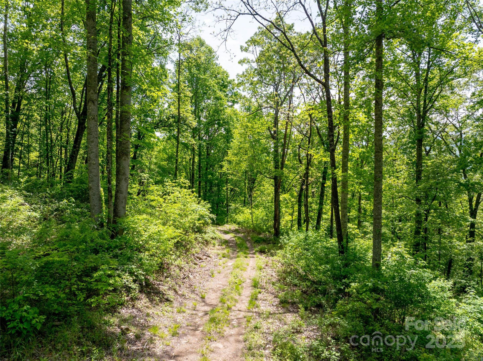 444 Woodring Cemetery Road - Photo 7