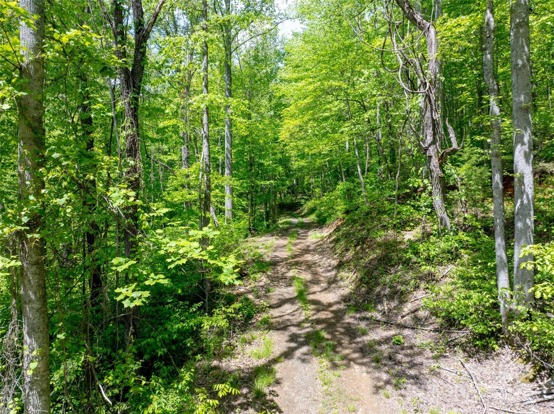 444 Woodring Cemetery Road - Photo 8