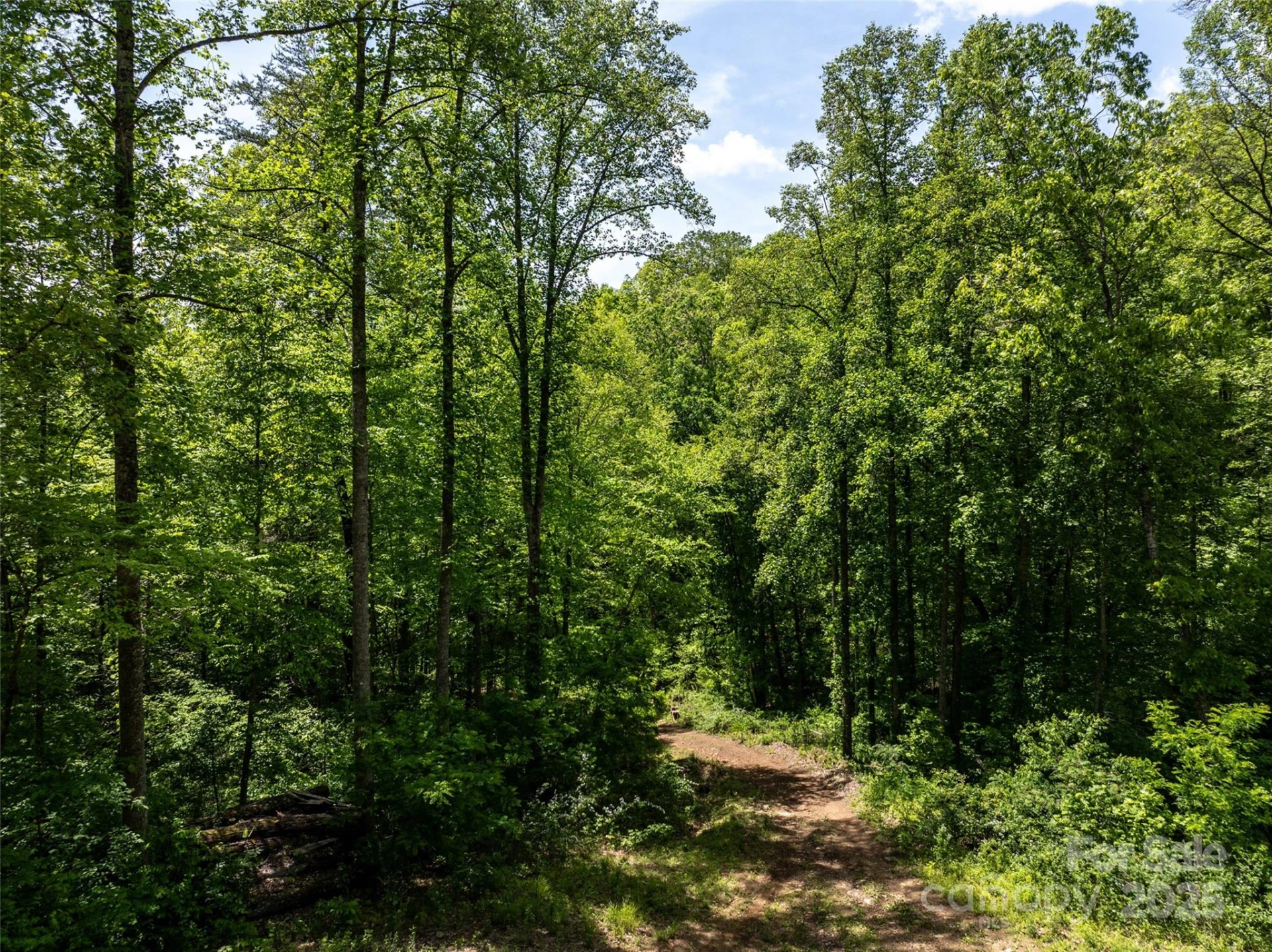 444 Woodring Cemetery Road - Photo 9