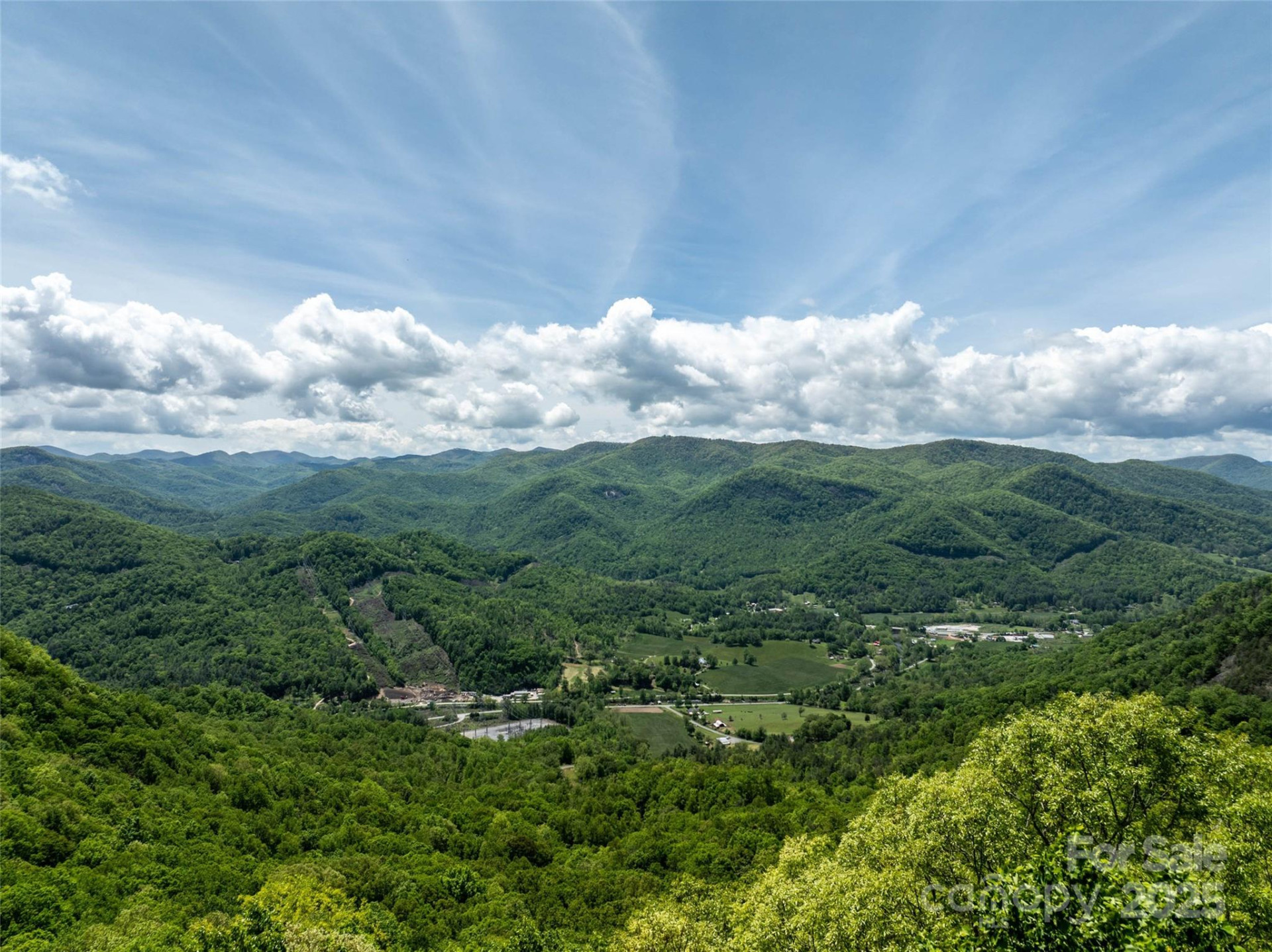 444 Woodring Cemetery Road - Photo 10