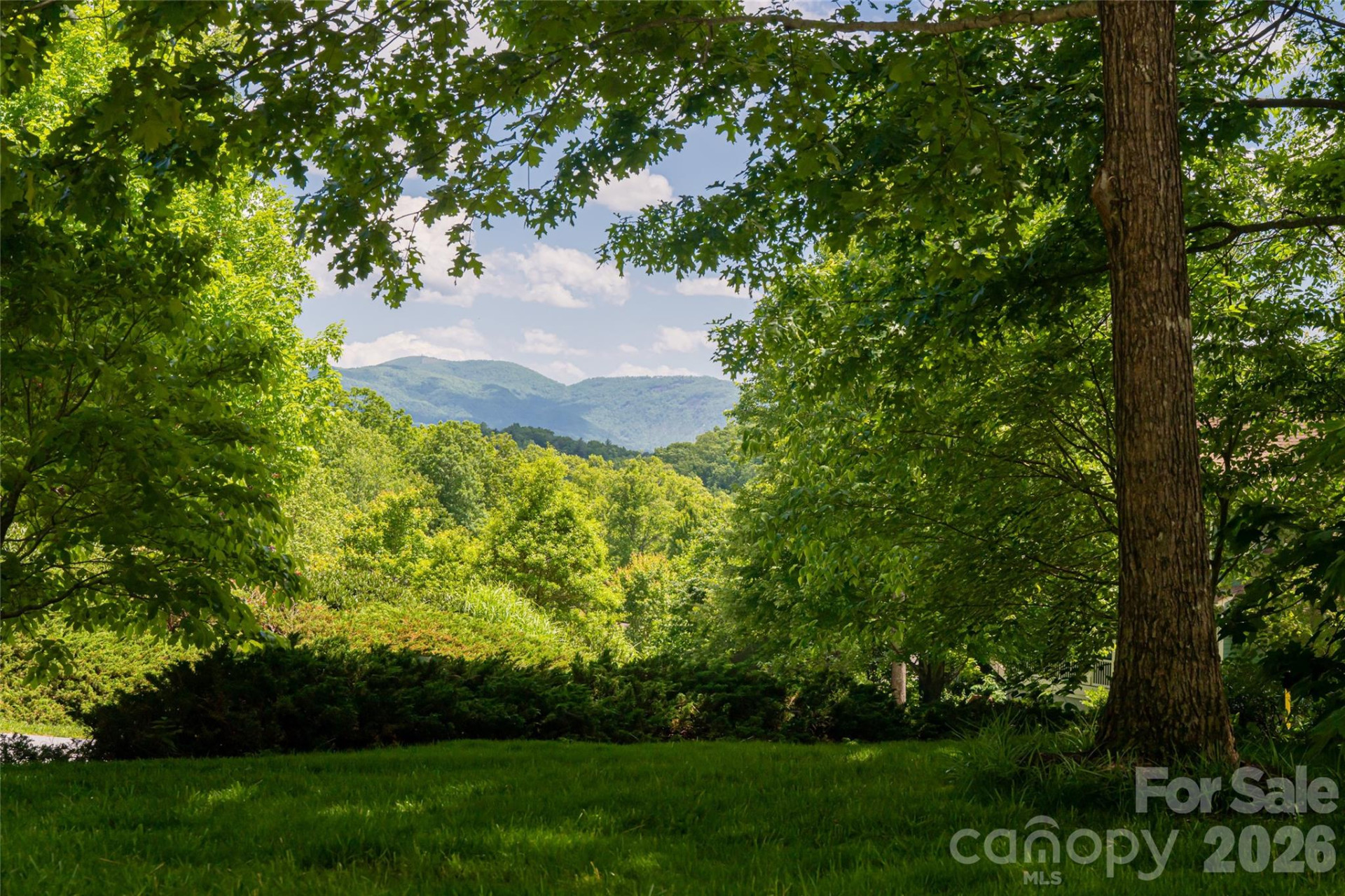 20 East Owl Creek Lane - Photo 3