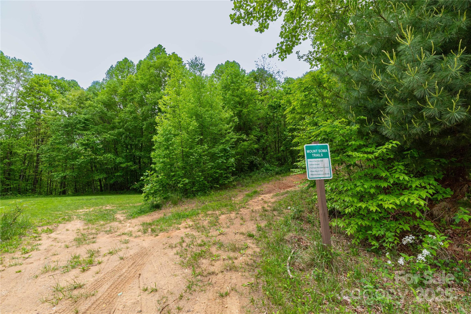 129 Mount Soma Boulevard - Photo 6