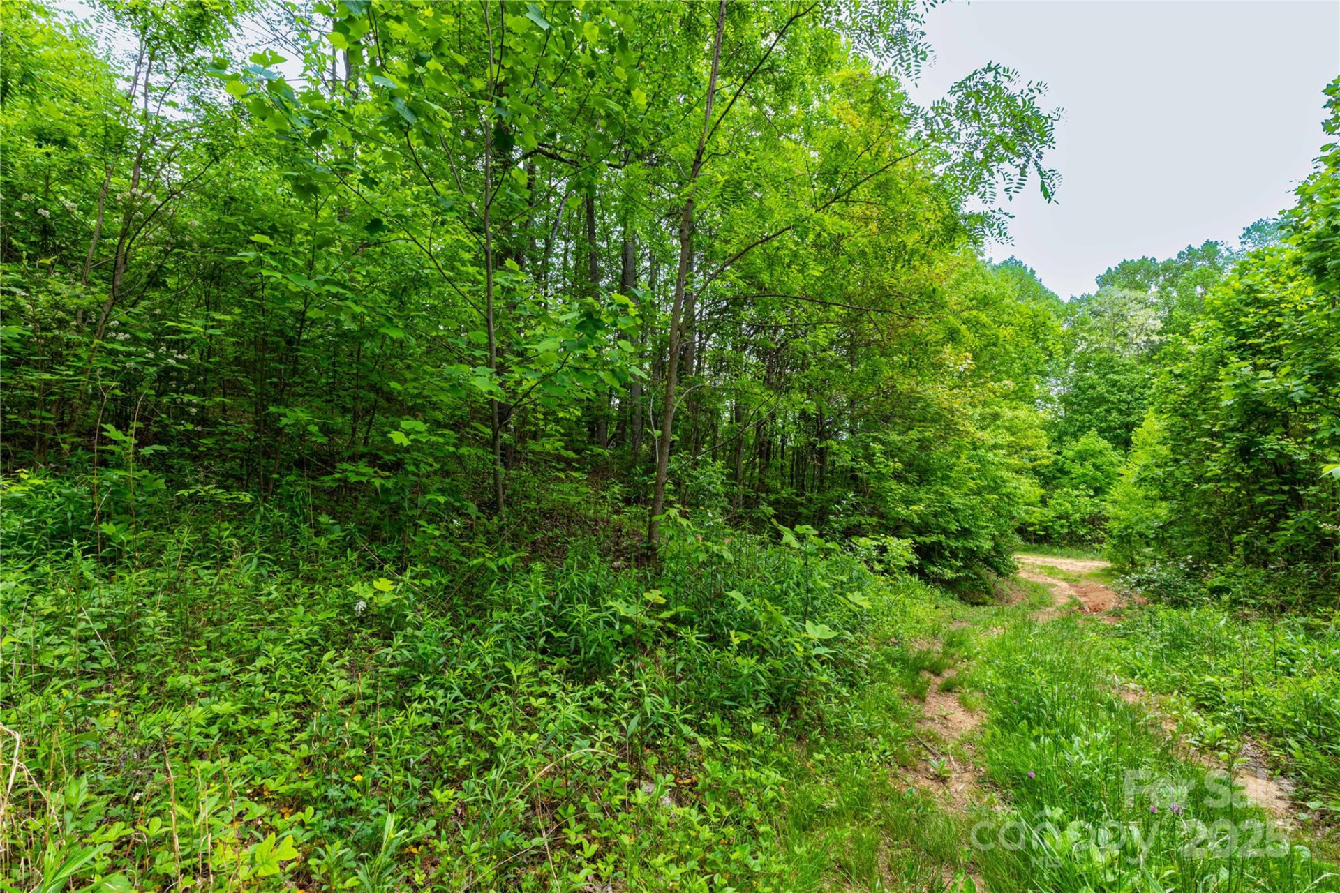 129 Mount Soma Boulevard - Photo 7