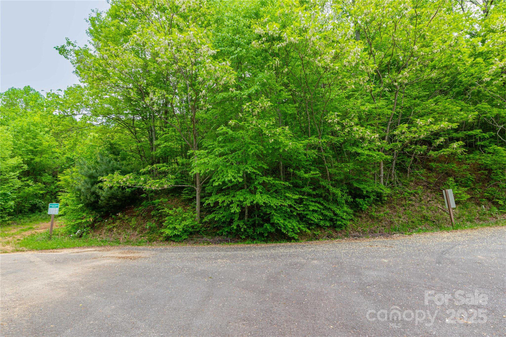 129 Mount Soma Boulevard - Photo 9