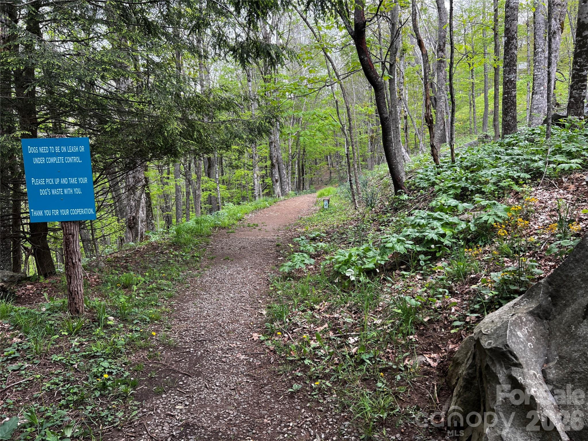 1 Pearl Way - Photo 15