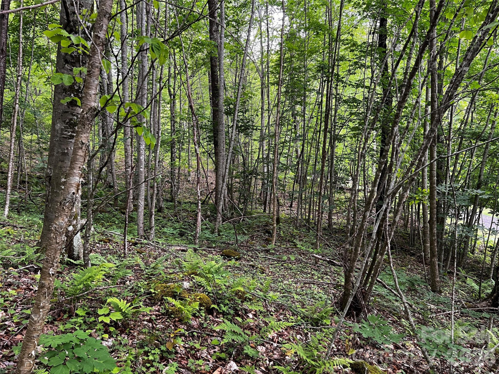 1 Pearl Way - Photo 5