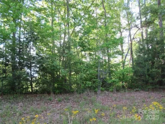 0 Cross Creek Trail, Mill Spring, NC, 28756