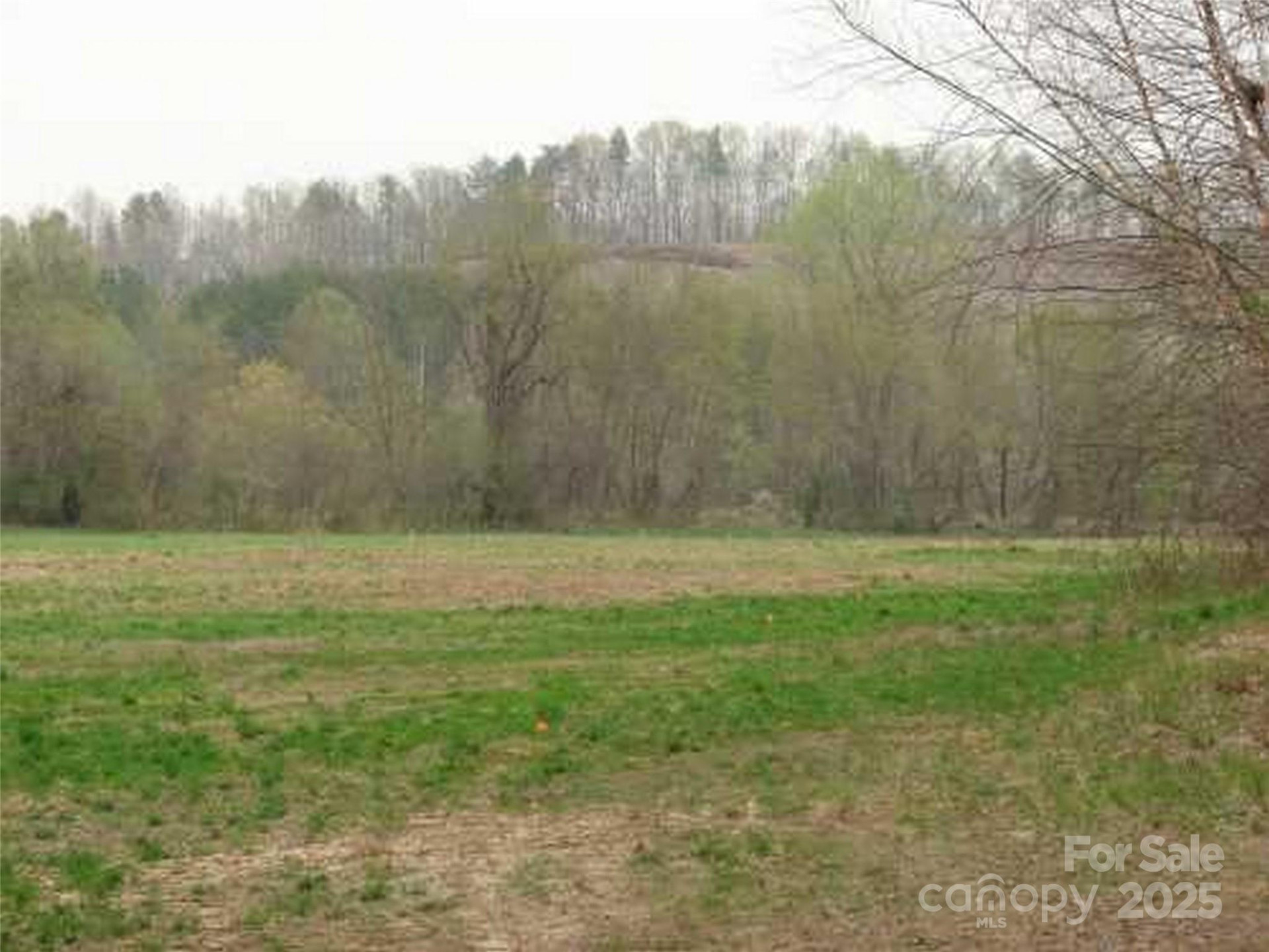 0 Cross Creek Trail #12 - Photo 2