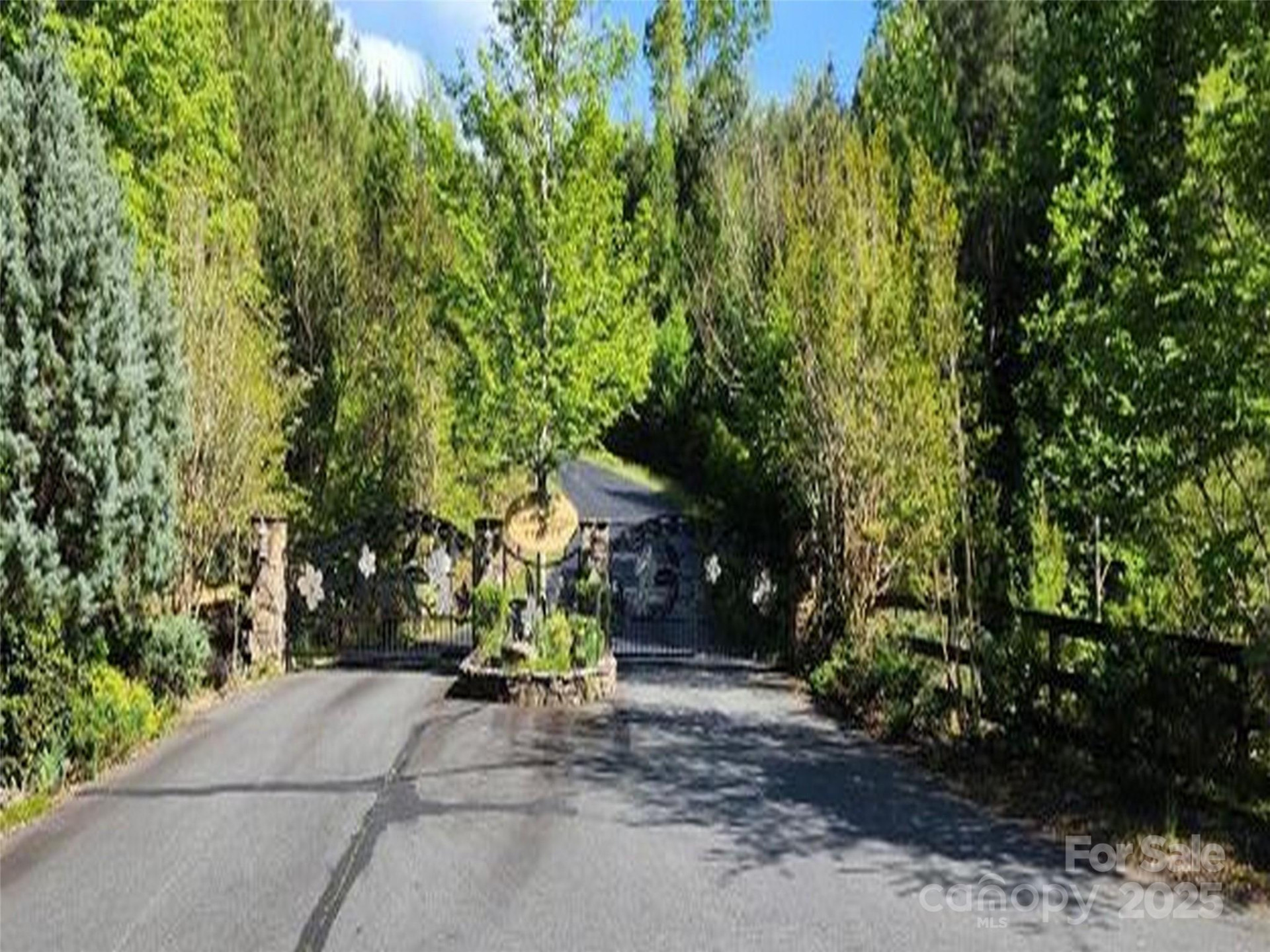 0 Cross Creek Trail #12 - Photo 3