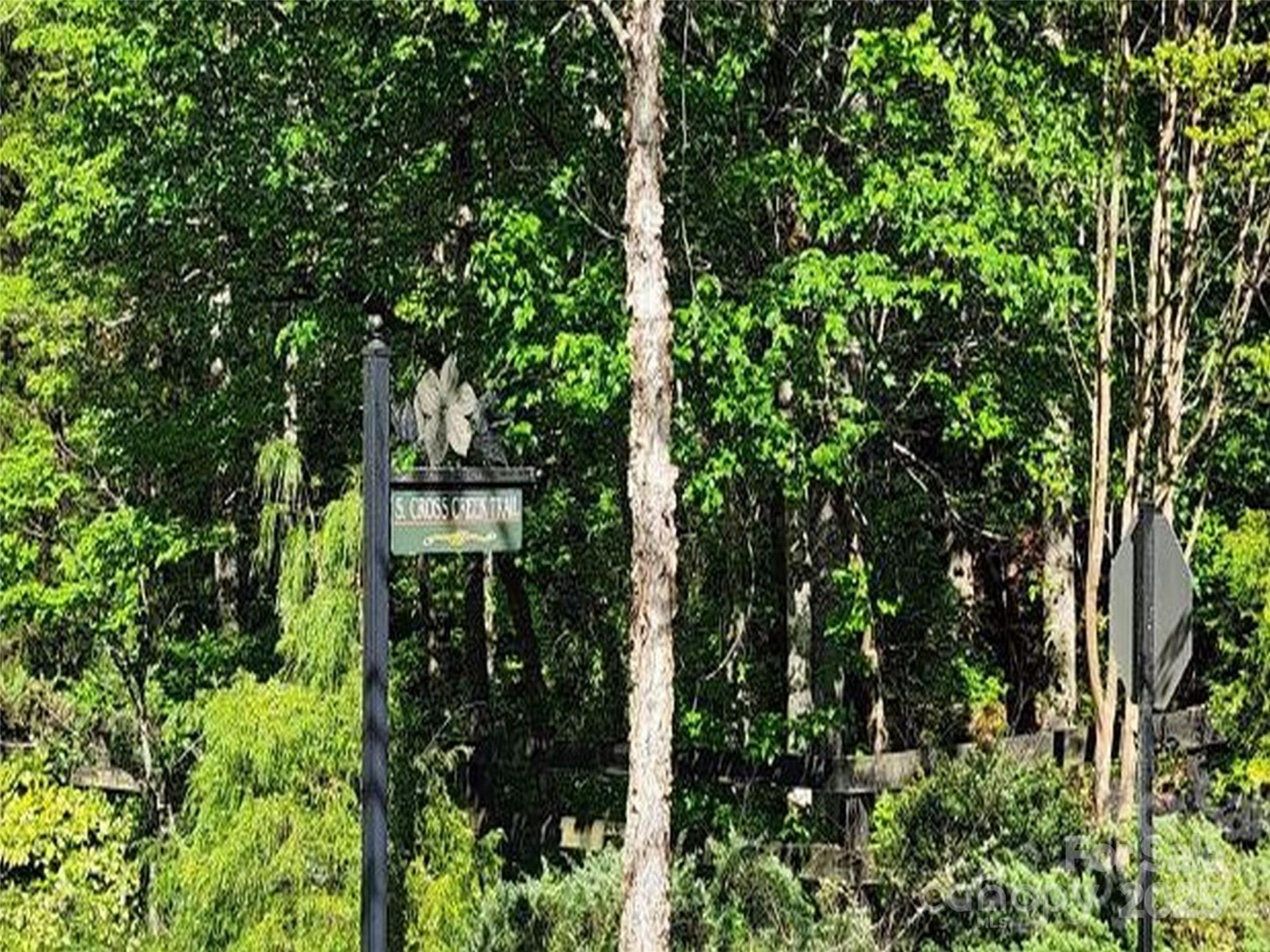 0 Cross Creek Trail #12 - Photo 7