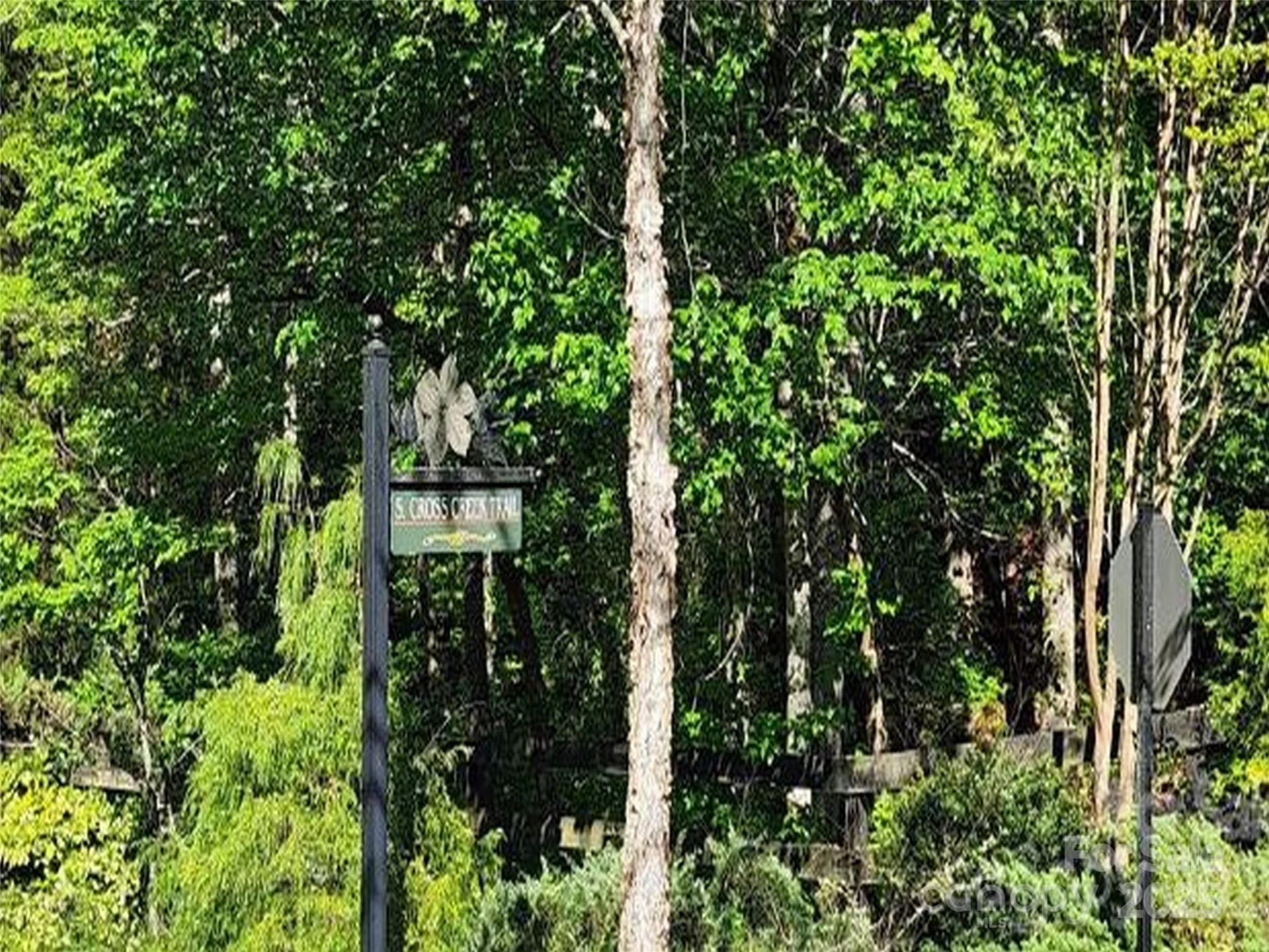 0 Cross Creek Trail #12 - Photo 7