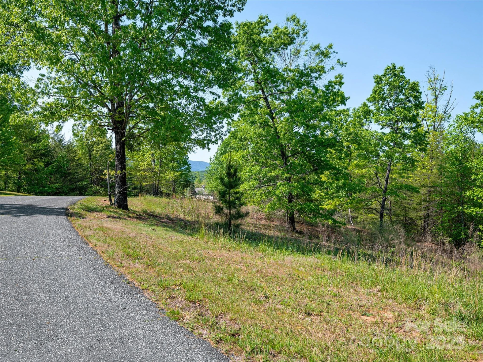 Lot 17-1 Village Park Lane - Photo 6