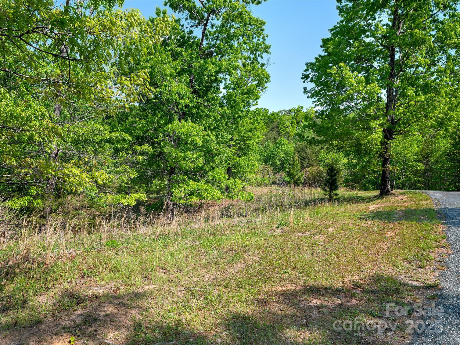 Lot 17-1 Village Park Lane - Photo 7