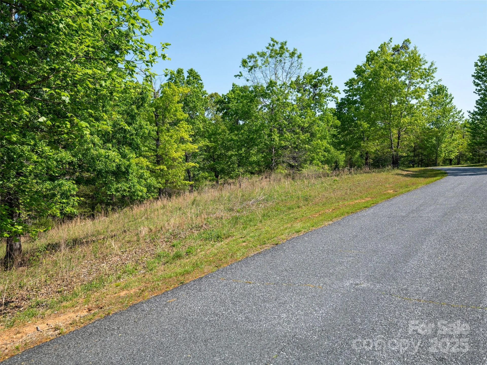 Lot 17-1 Village Park Lane - Photo 8