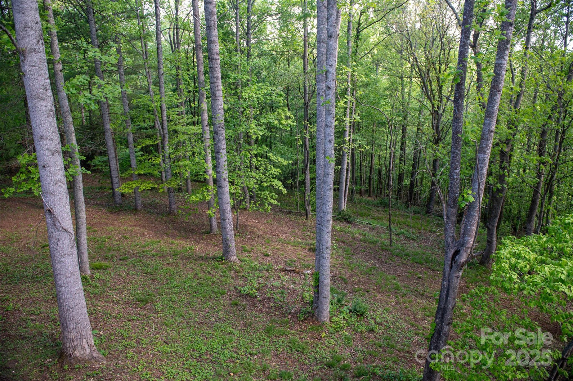 120 Powderhorn Drive - Photo 39