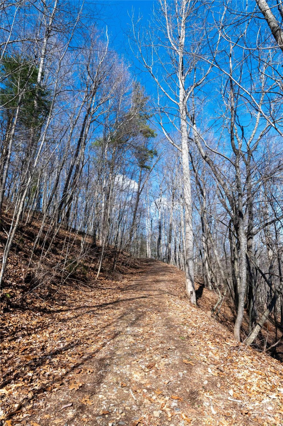 120 Powderhorn Drive - Photo 47