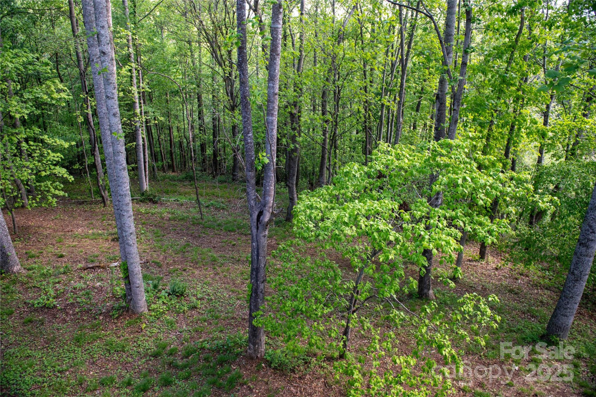 120 Powderhorn Drive - Photo 48