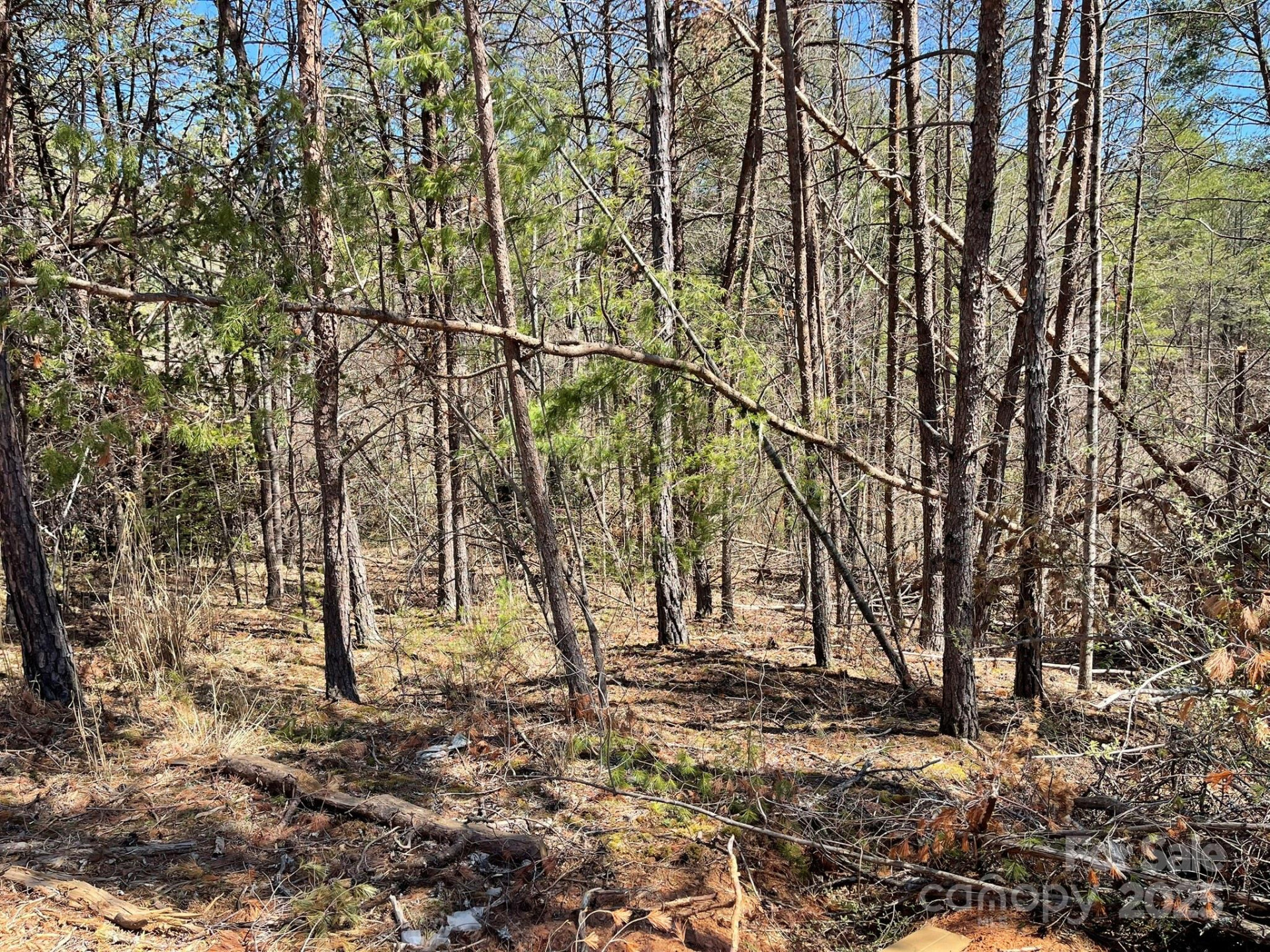 84 Union Chapel Road - Photo 11