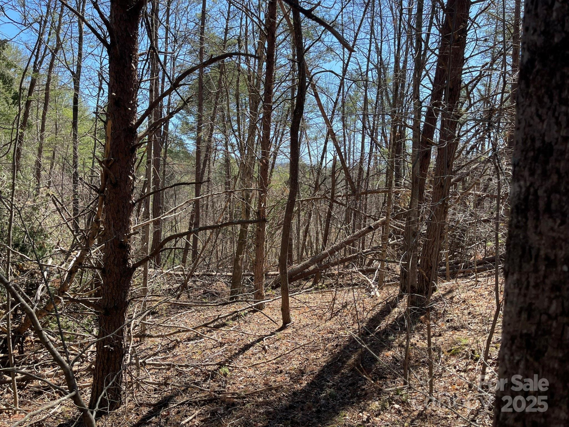 84 Union Chapel Road - Photo 12