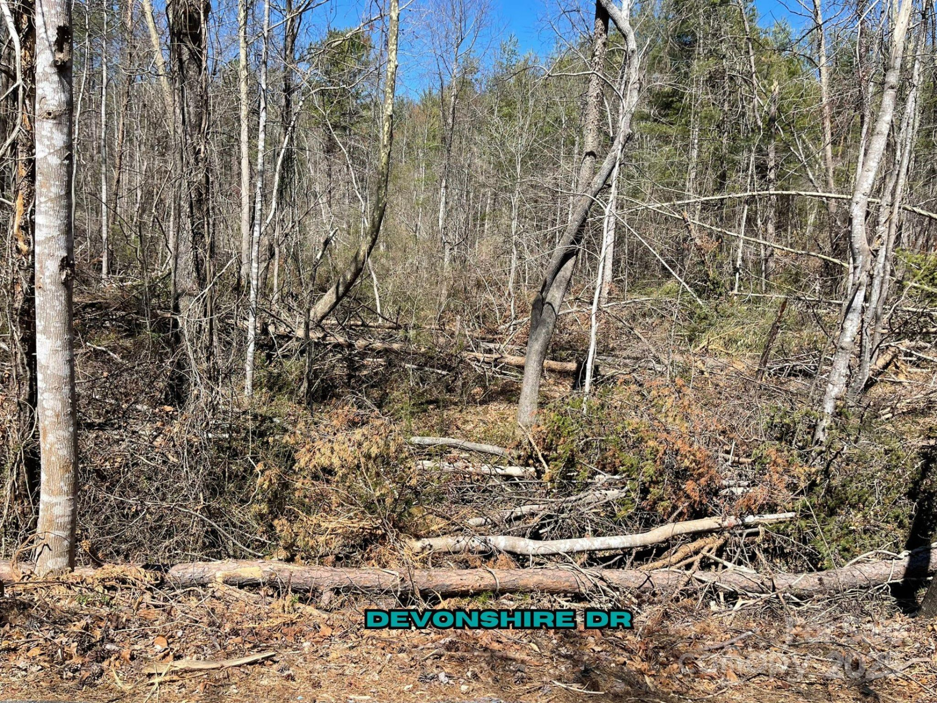 84 Union Chapel Road - Photo 7