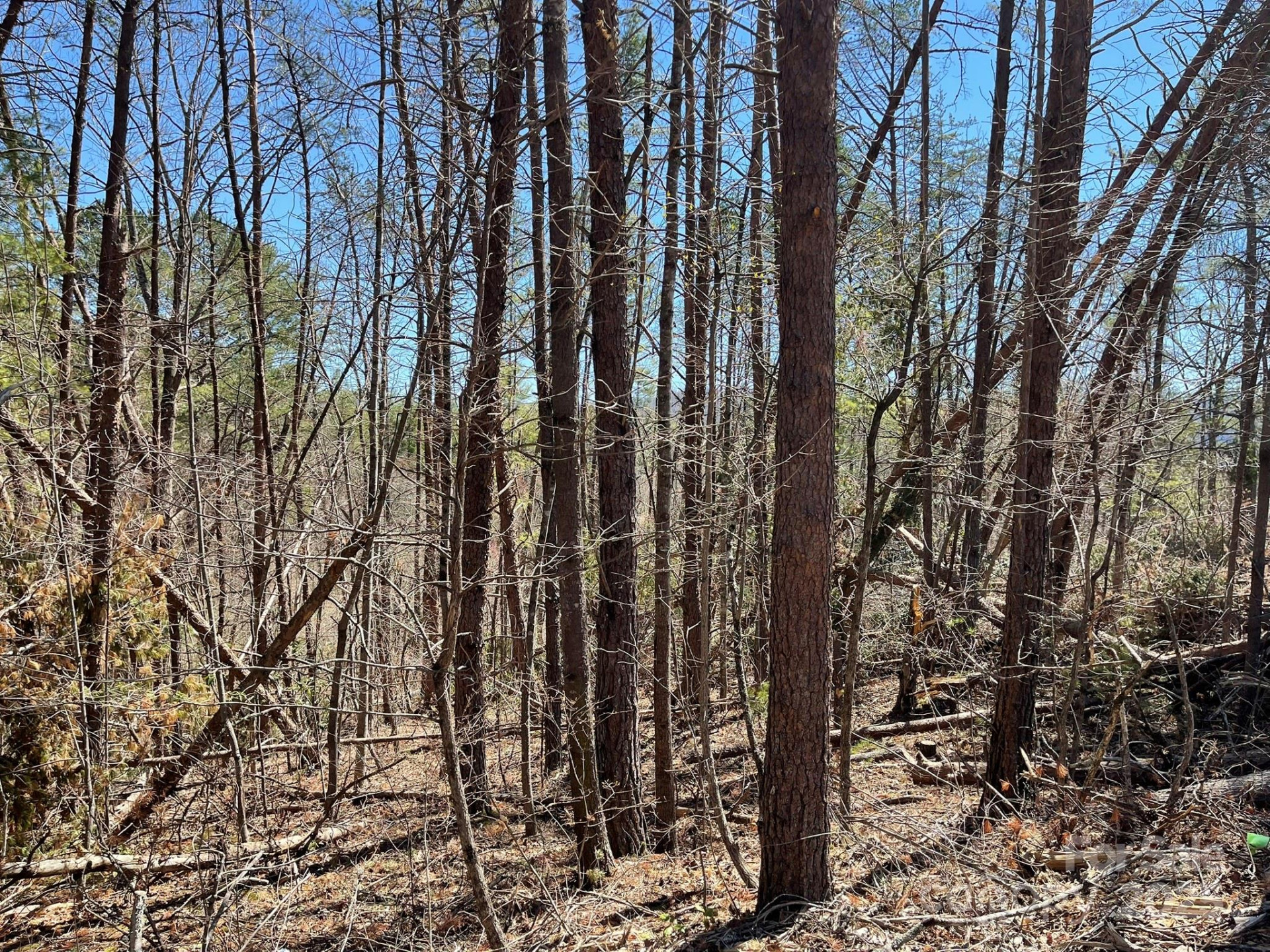 84 Union Chapel Road - Photo 10