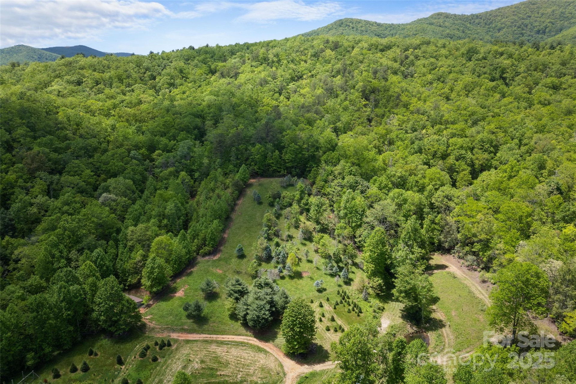 1557 Shoal Creek Road - Photo 2