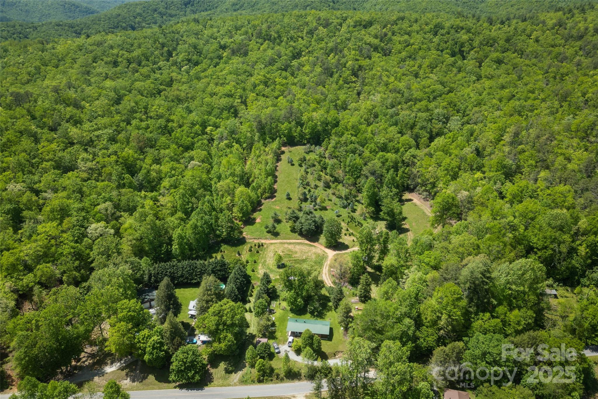 1557 Shoal Creek Road - Photo 11