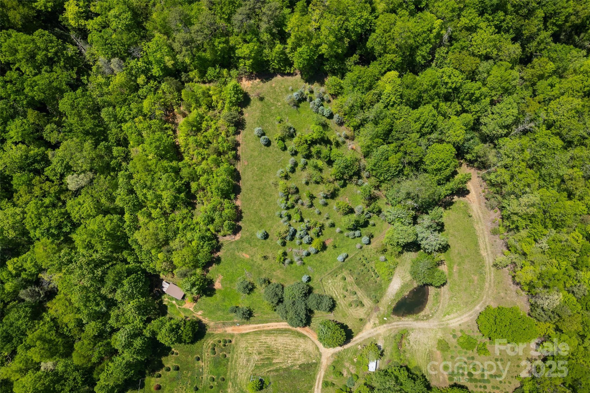 1557 Shoal Creek Road - Photo 12