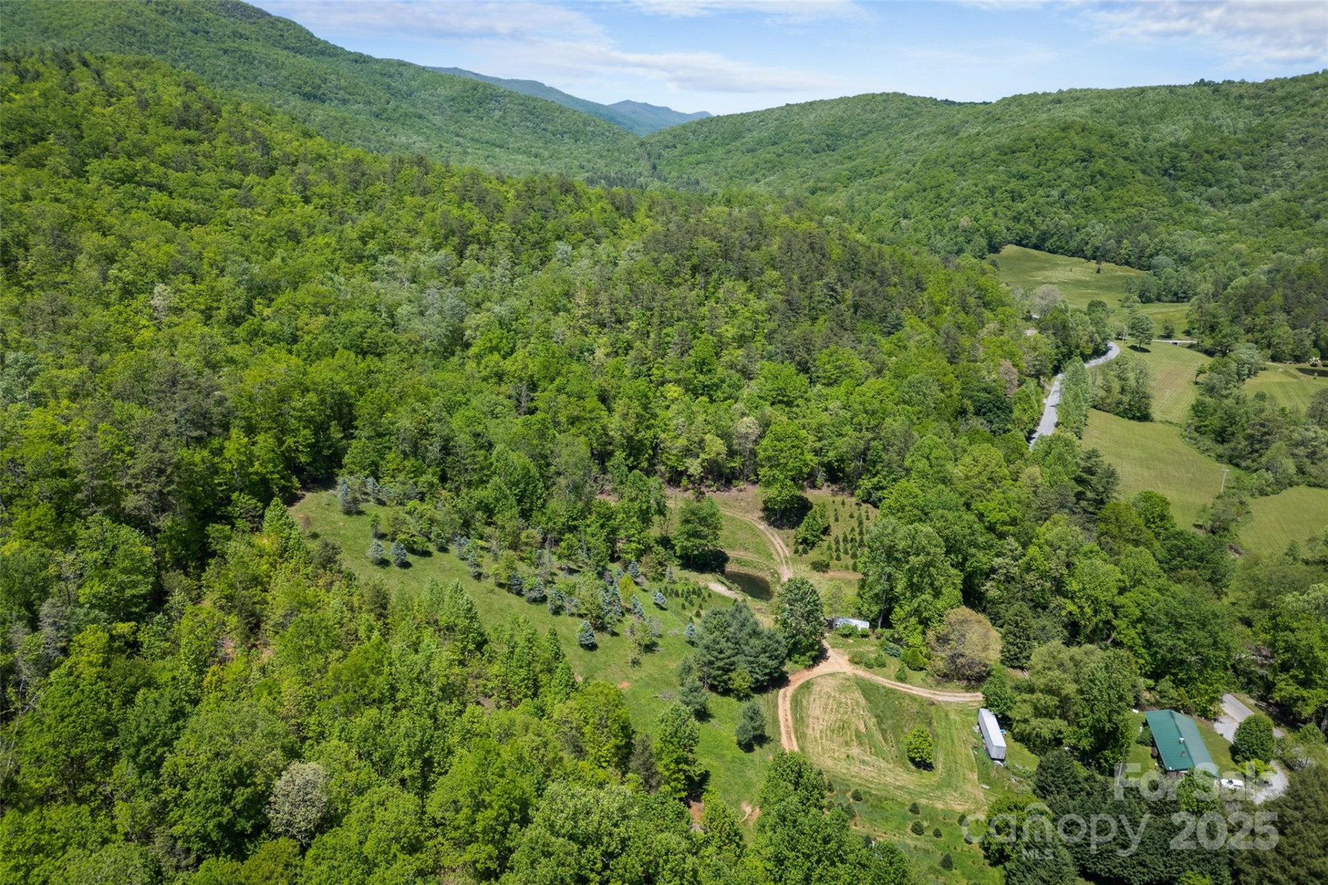 1557 Shoal Creek Road - Photo 13