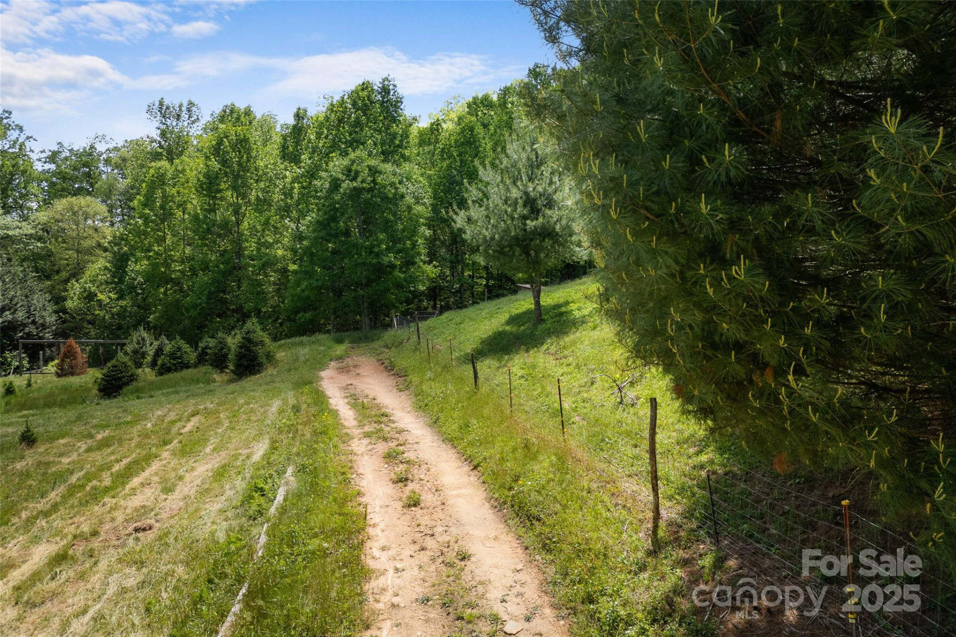 1557 Shoal Creek Road - Photo 14