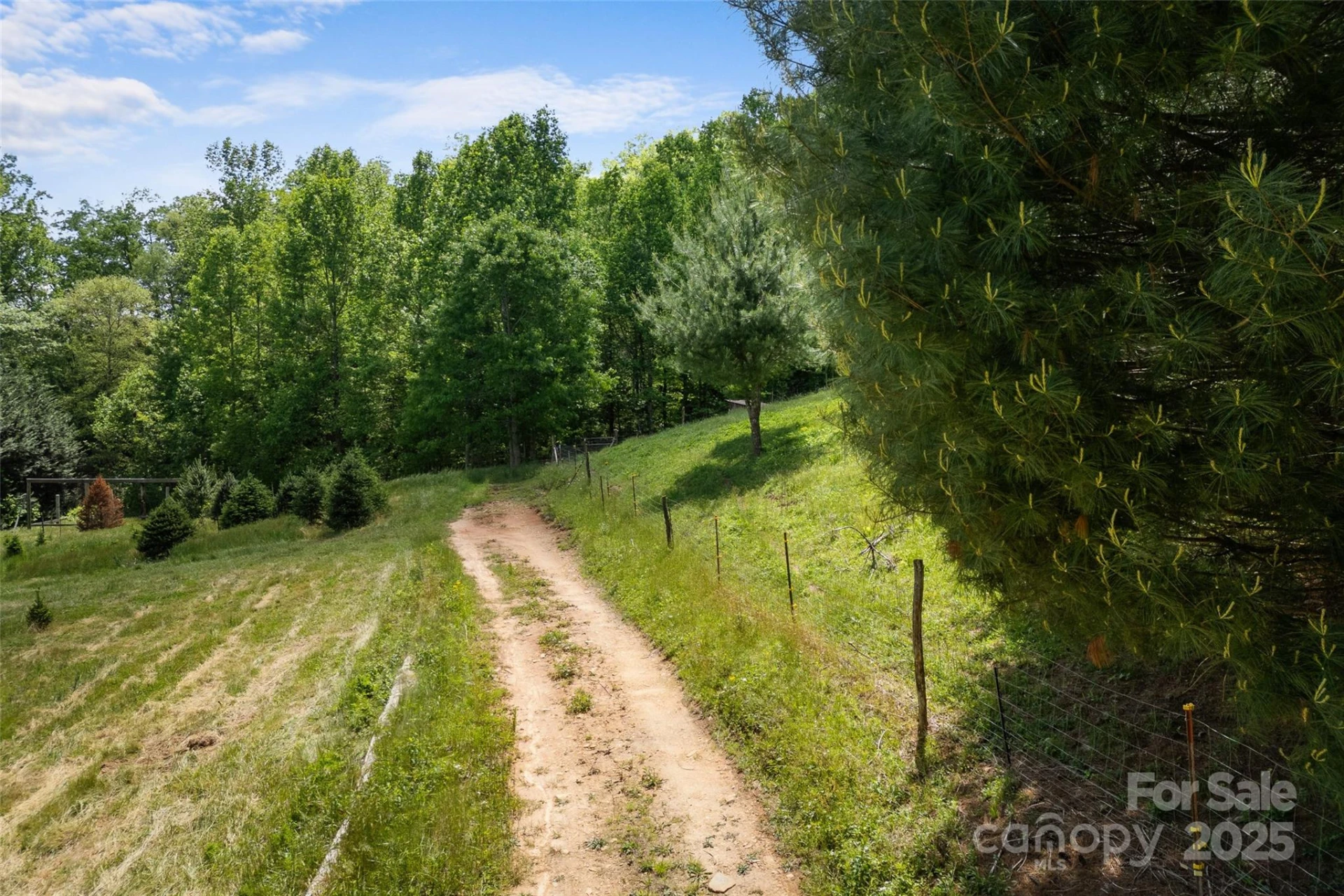 1557 Shoal Creek Road - Photo 14