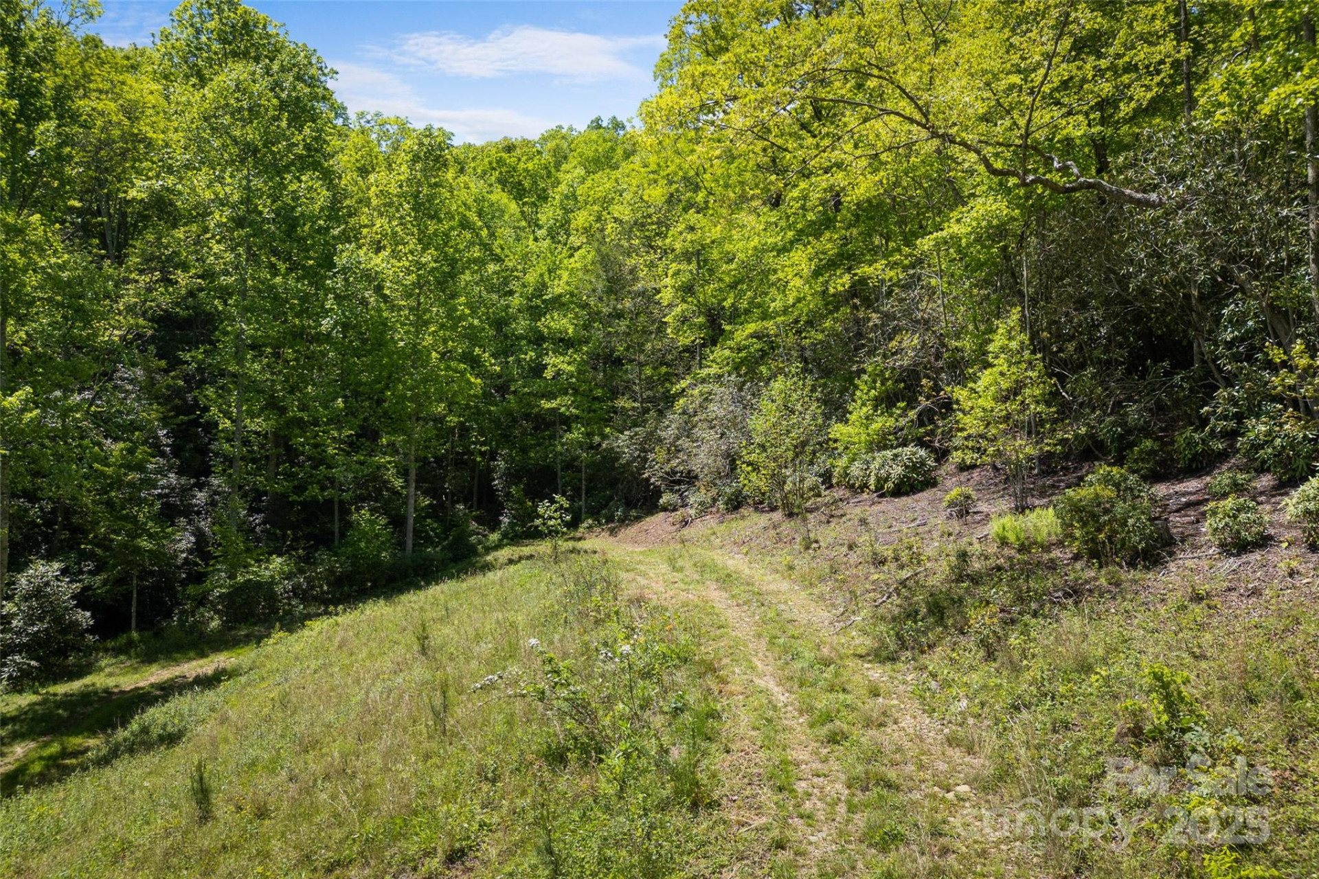 1557 Shoal Creek Road - Photo 15