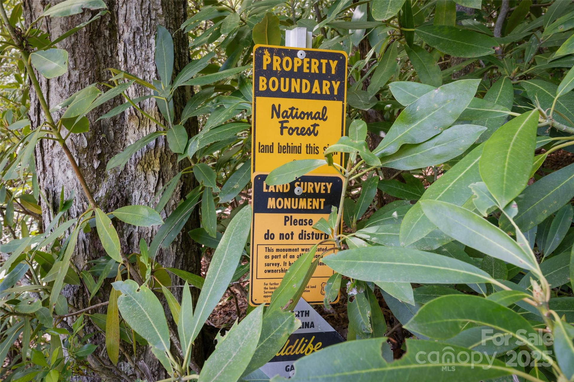 1557 Shoal Creek Road - Photo 16