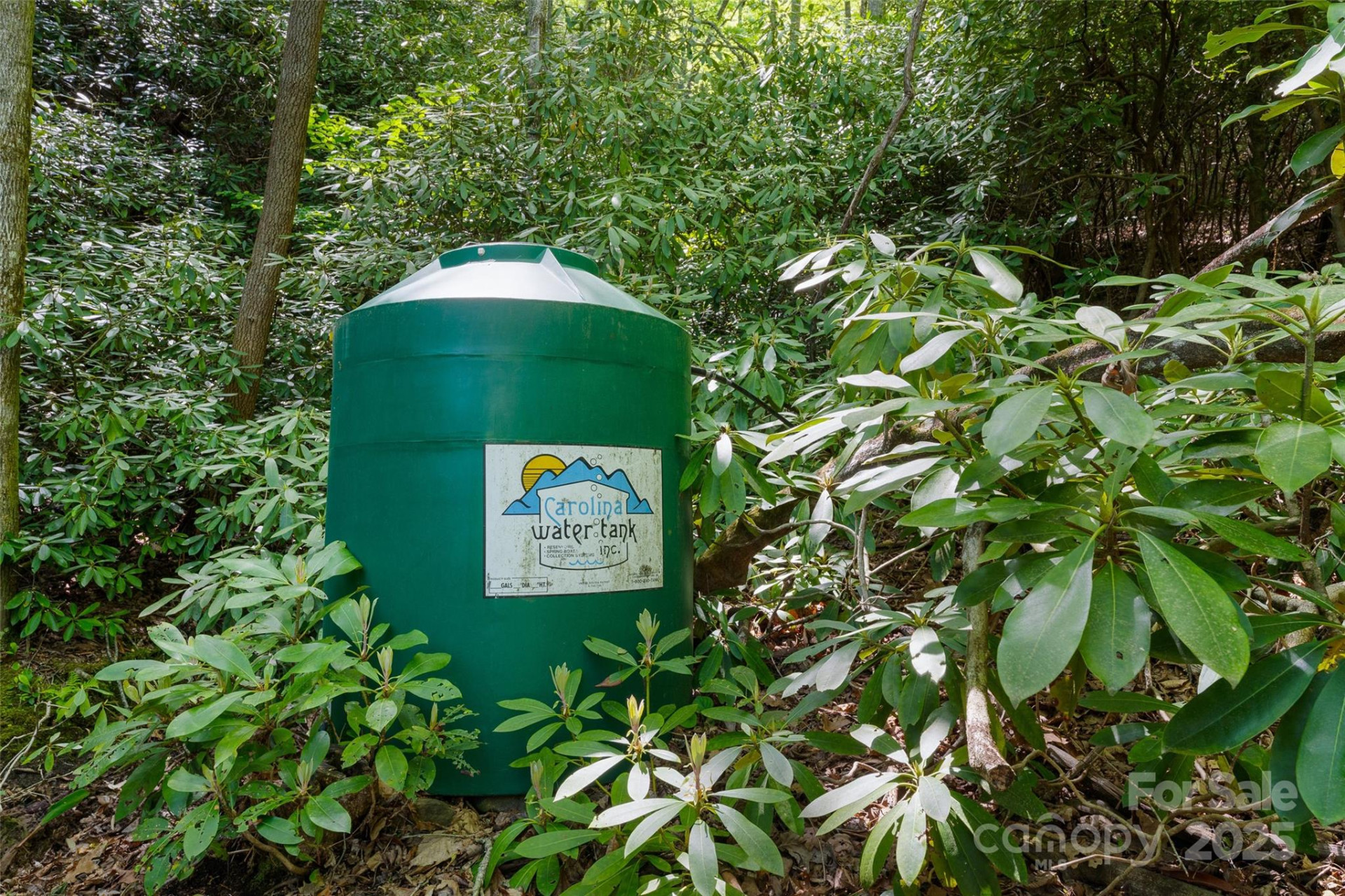 1557 Shoal Creek Road - Photo 18