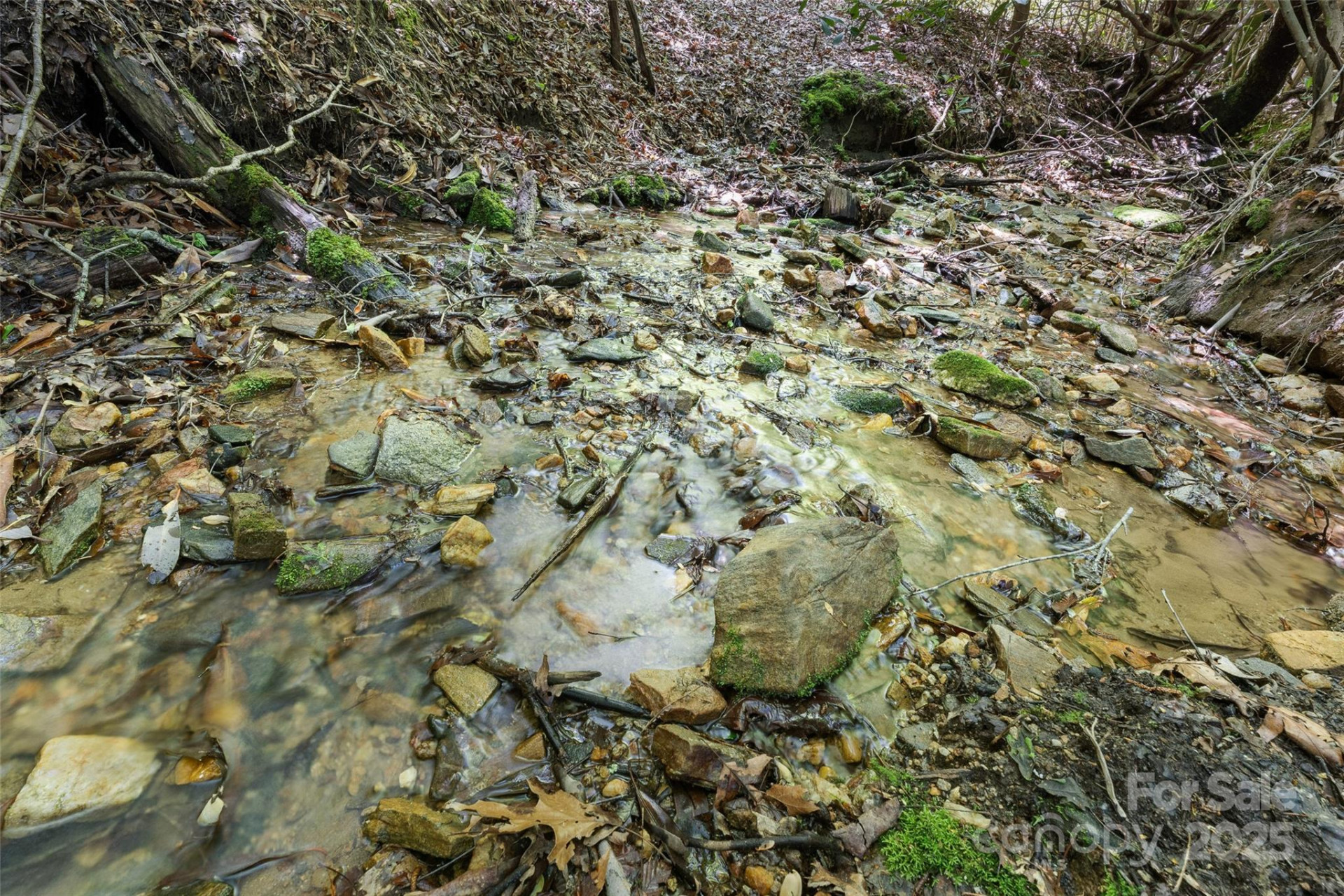 1557 Shoal Creek Road - Photo 19