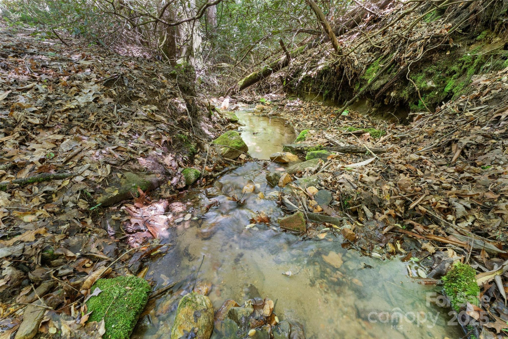 1557 Shoal Creek Road - Photo 20