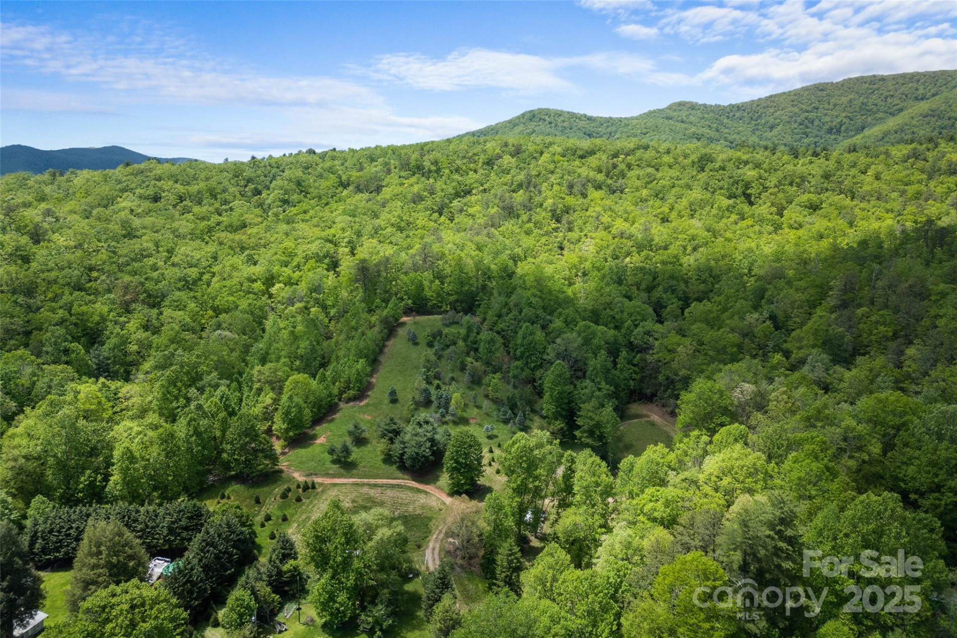 1557 Shoal Creek Road - Photo 3