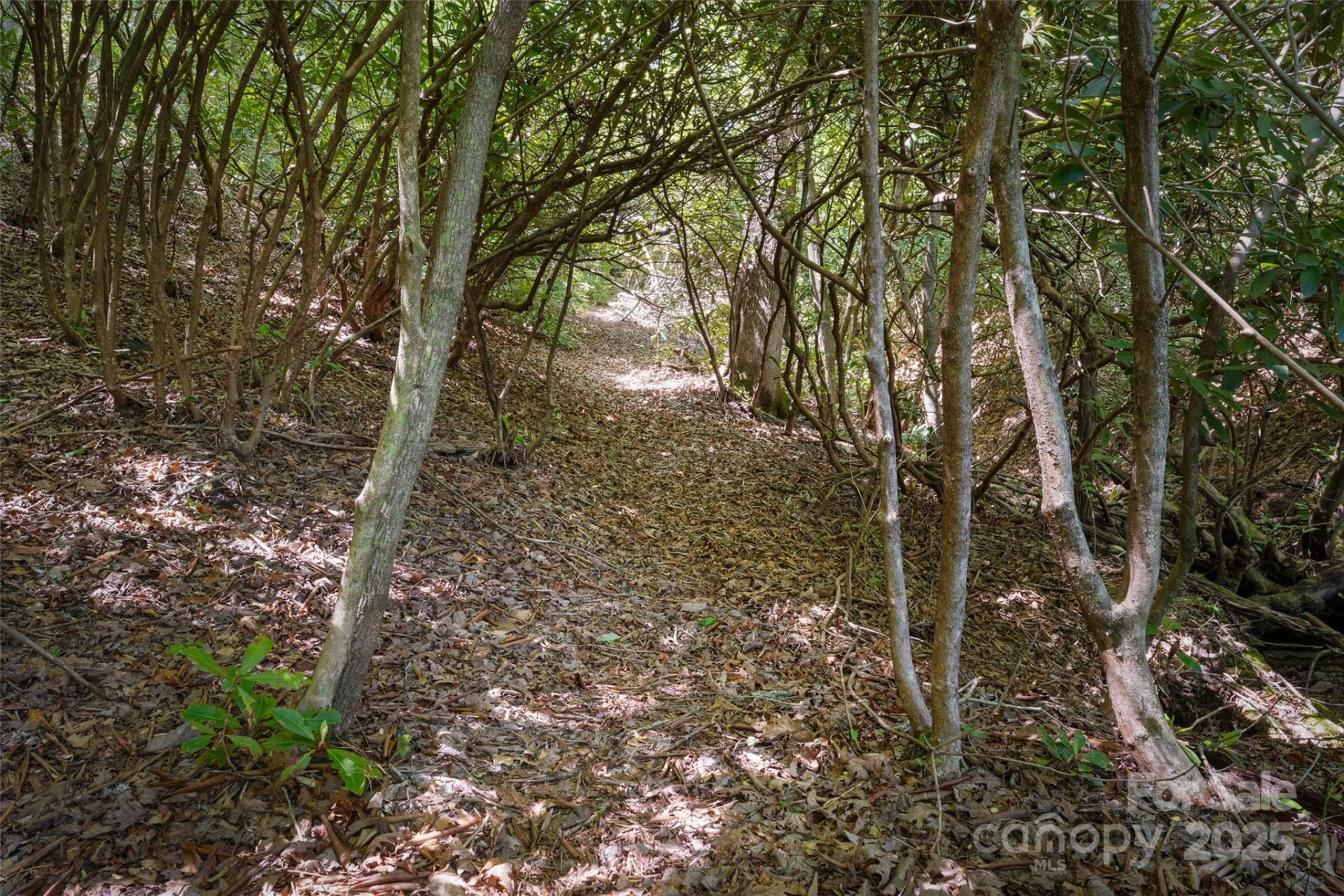 1557 Shoal Creek Road - Photo 21