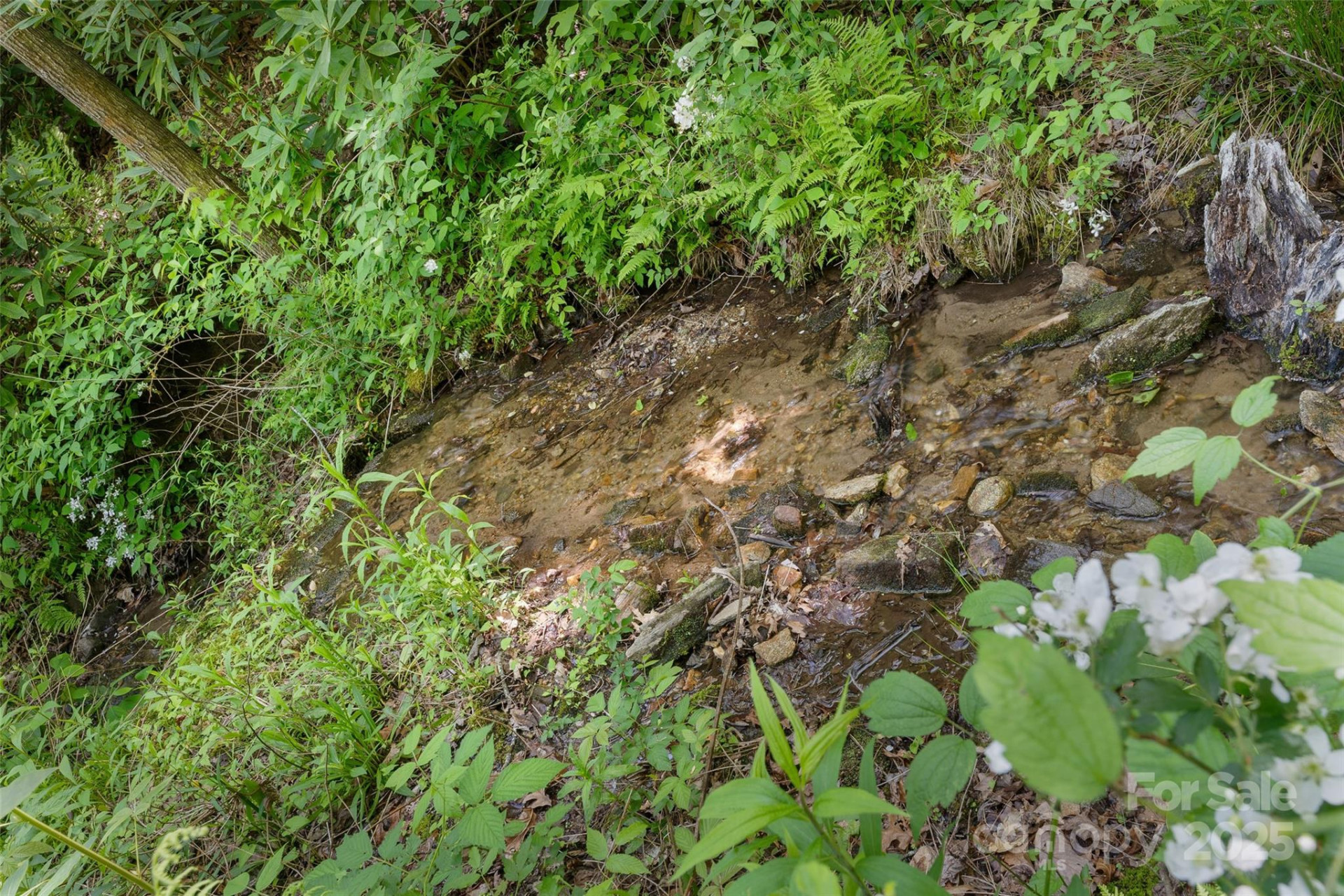 1557 Shoal Creek Road - Photo 28