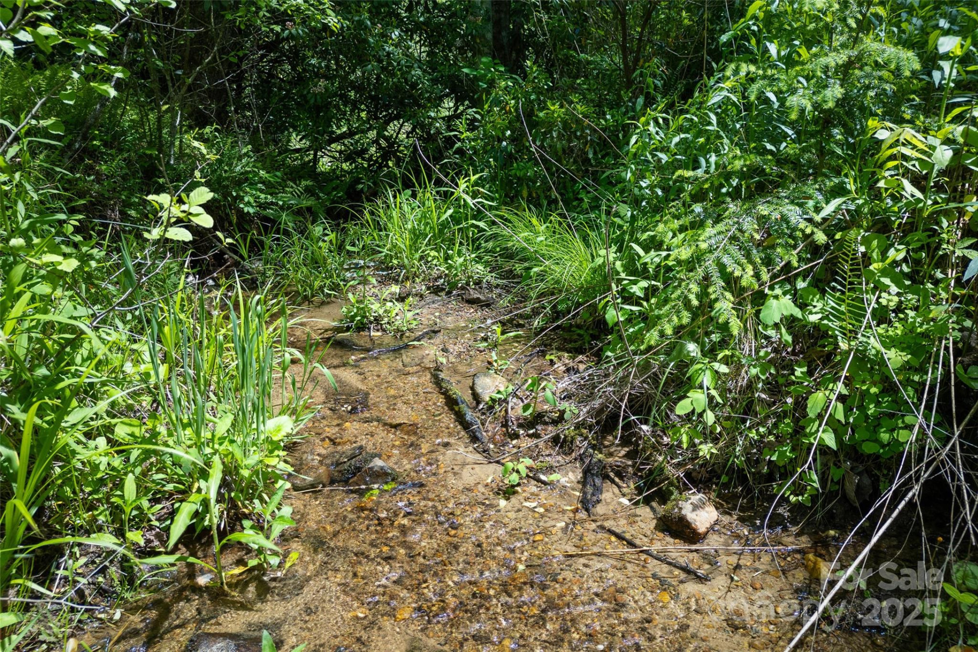 1557 Shoal Creek Road - Photo 29