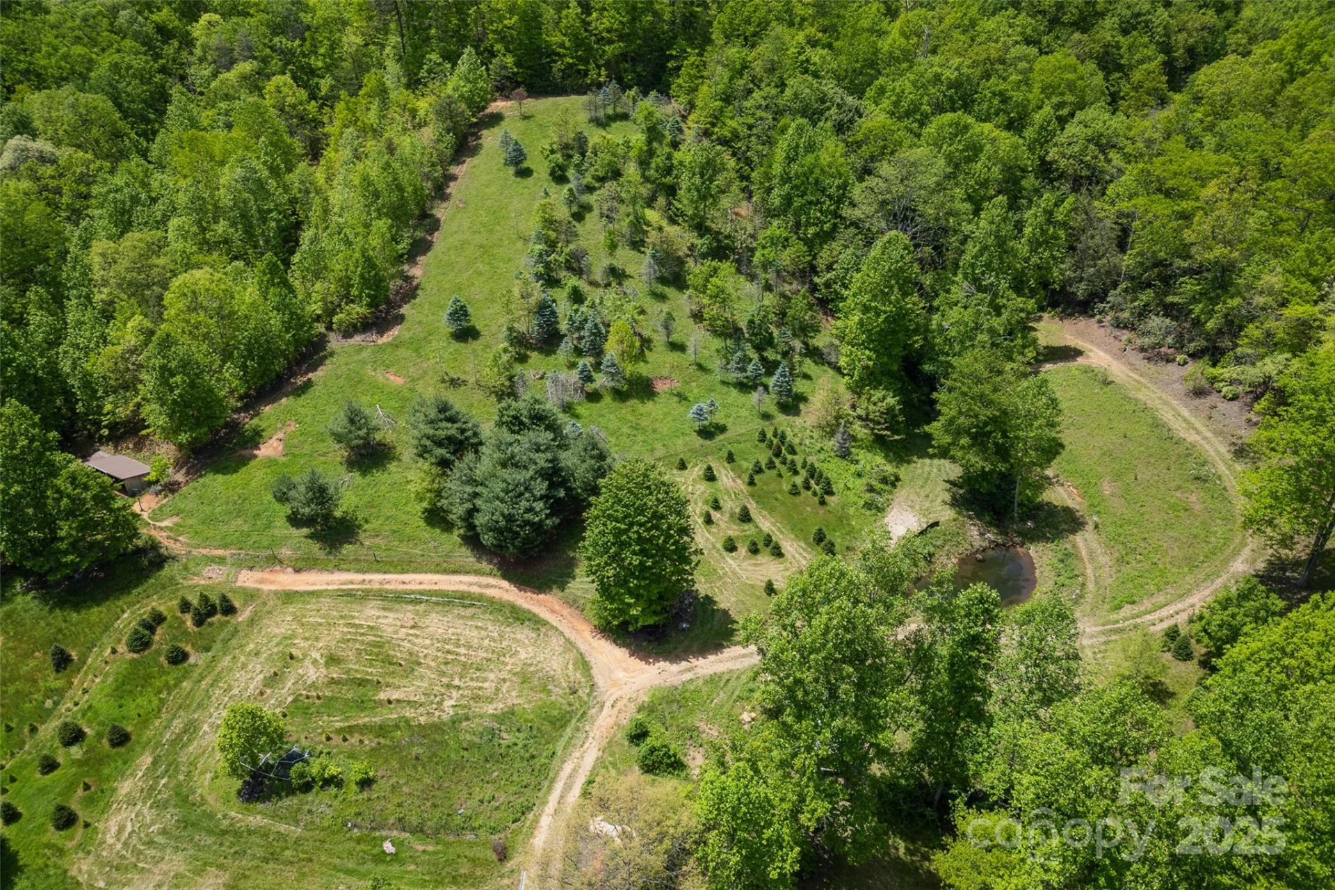 1557 Shoal Creek Road - Photo 4