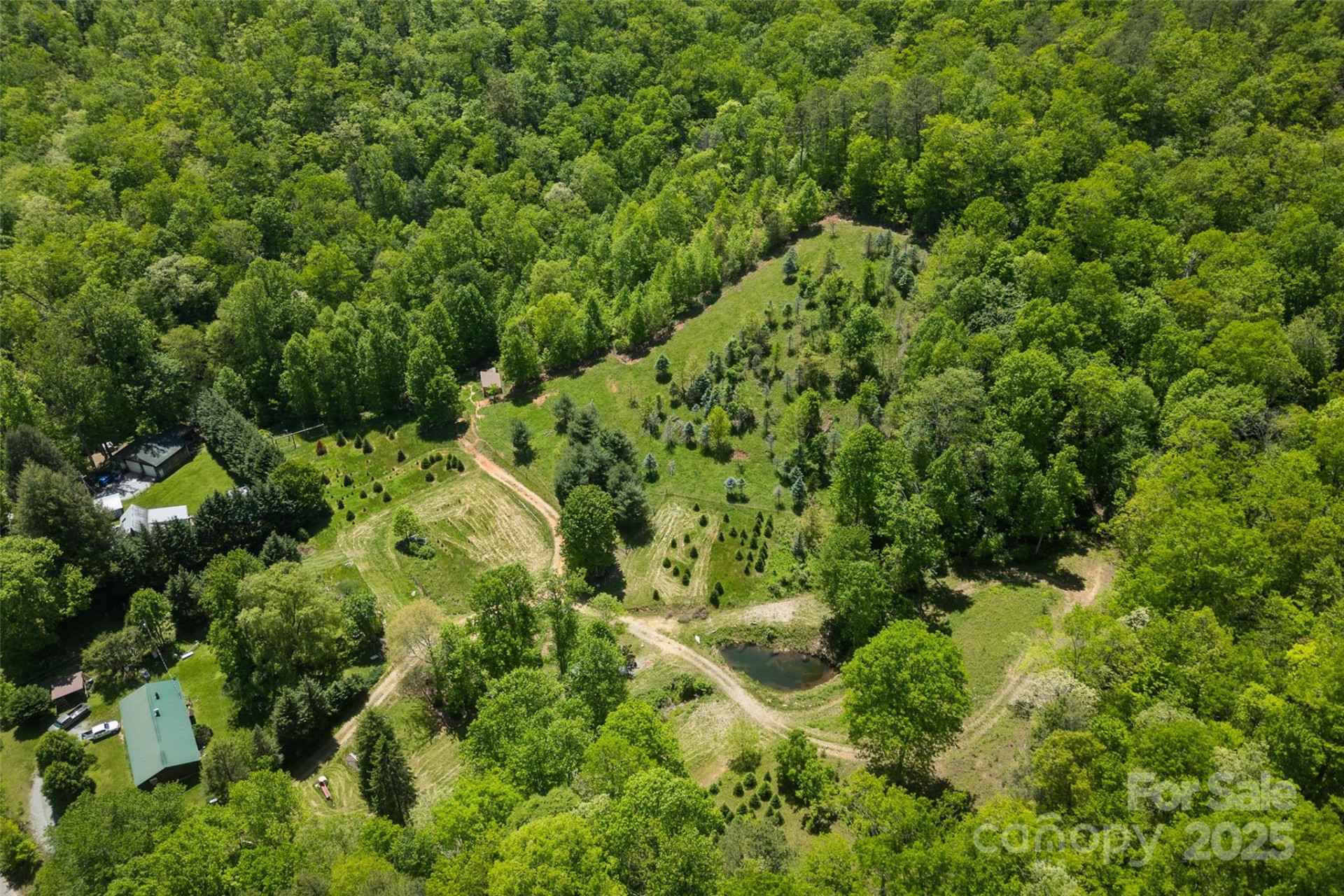 1557 Shoal Creek Road - Photo 32