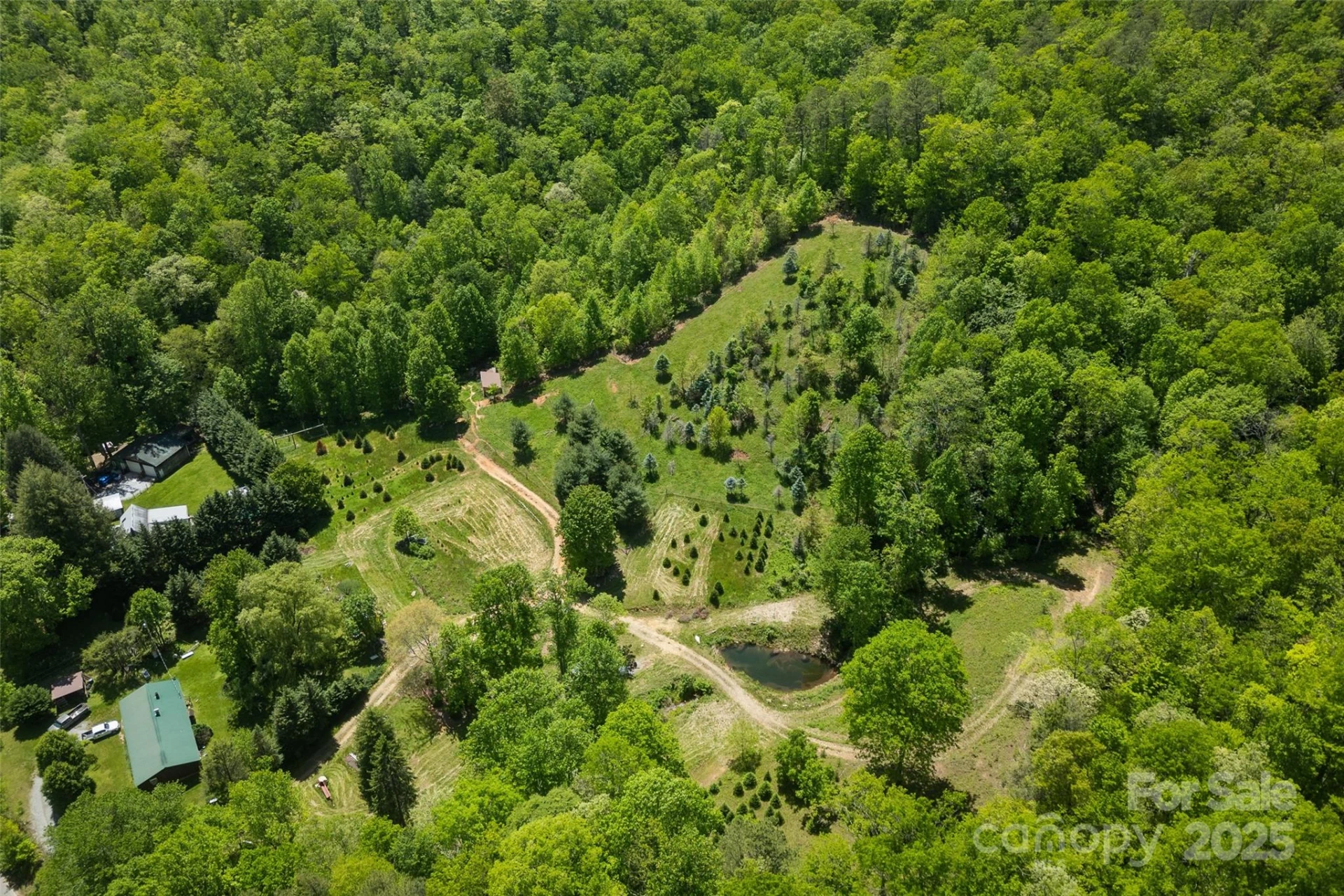 1557 Shoal Creek Road - Photo 32