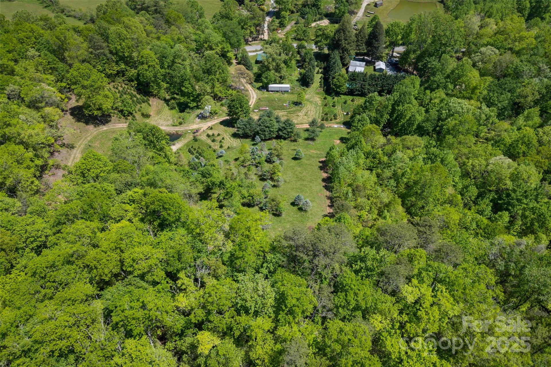 1557 Shoal Creek Road - Photo 33