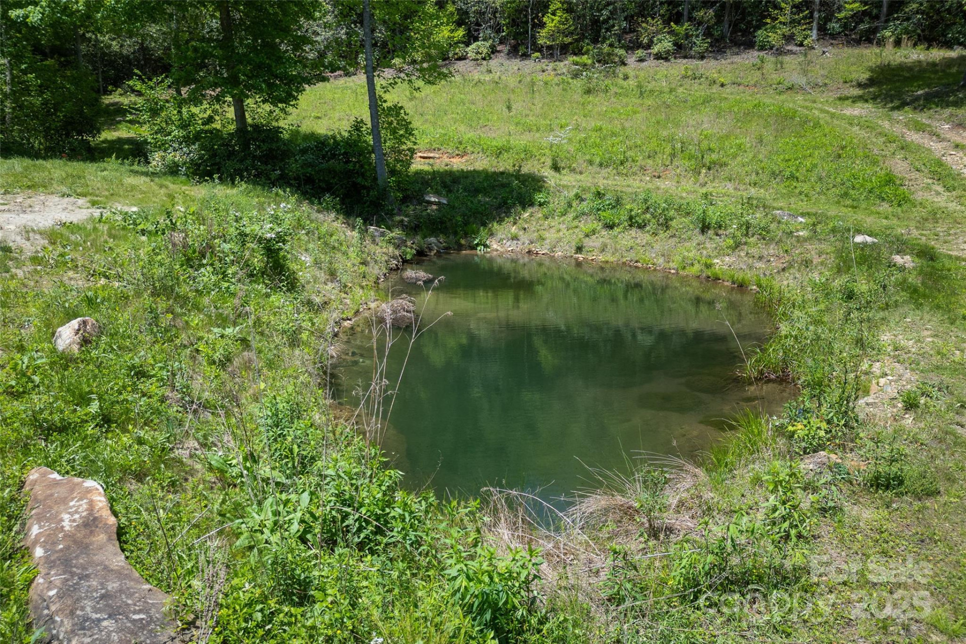 1557 Shoal Creek Road - Photo 6