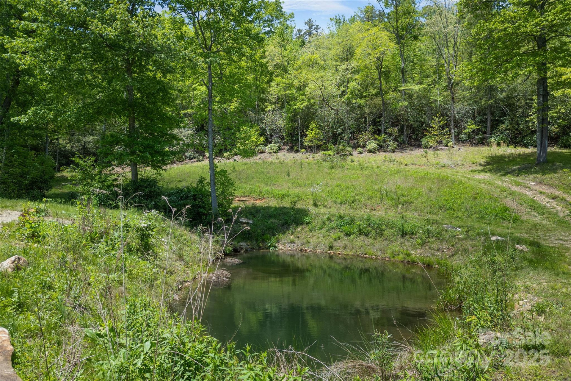 1557 Shoal Creek Road - Photo 7