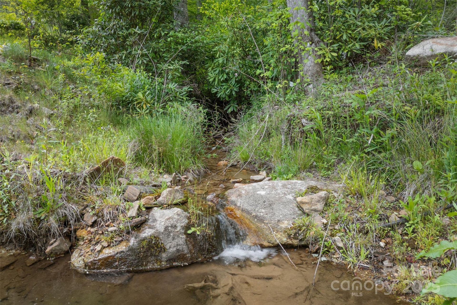 1557 Shoal Creek Road - Photo 8