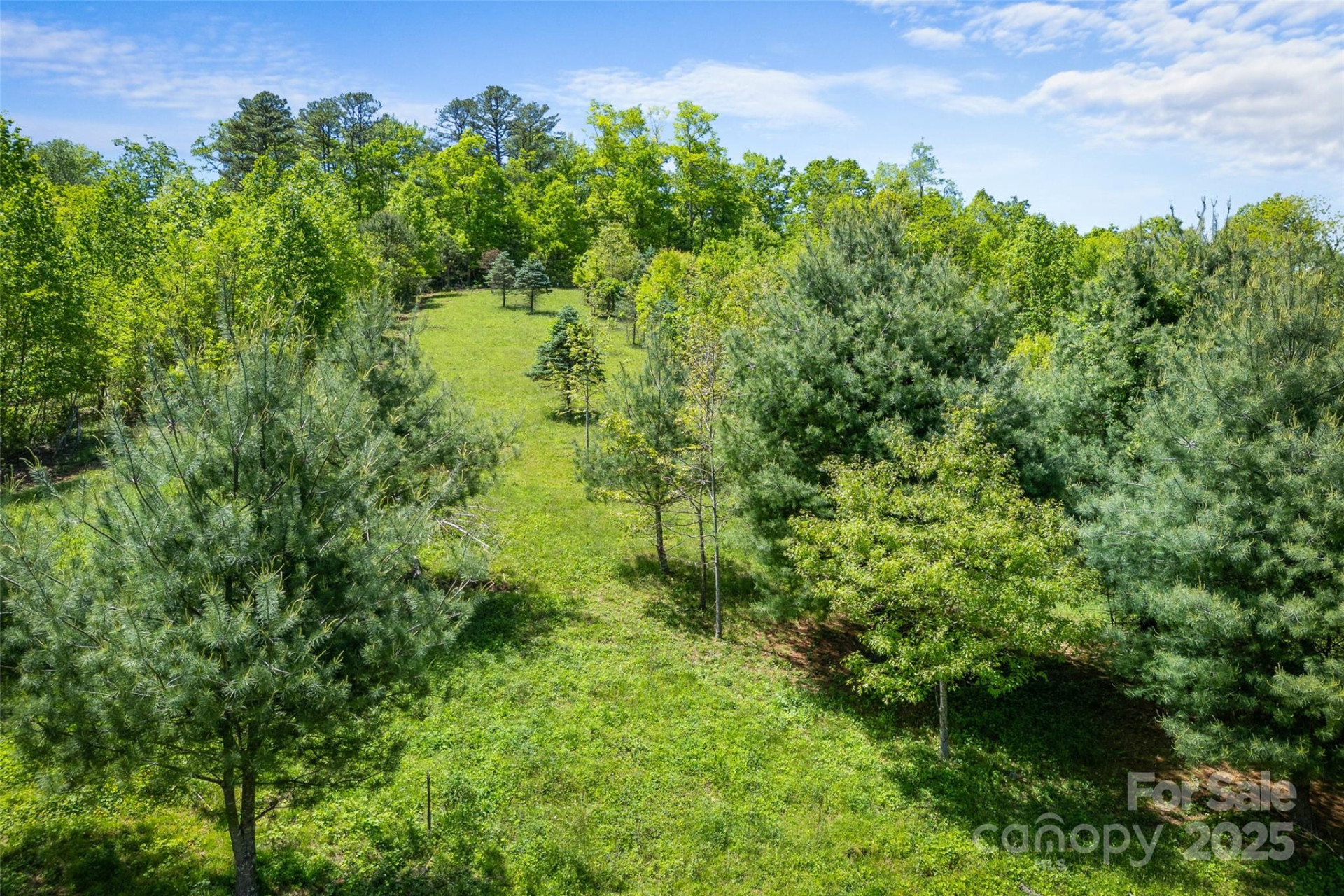 1557 Shoal Creek Road - Photo 9