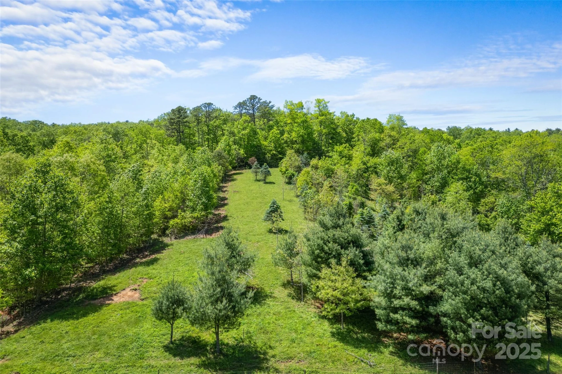 1557 Shoal Creek Road - Photo 10